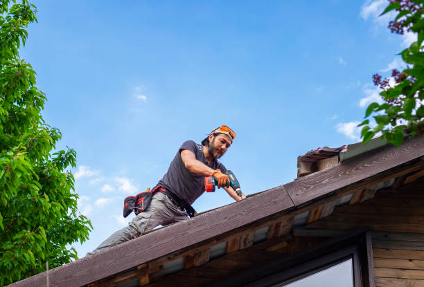 Best Flat Roofing  in Springville, NY