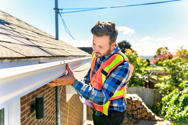 Best Gutter Replacement  in Springville, NY