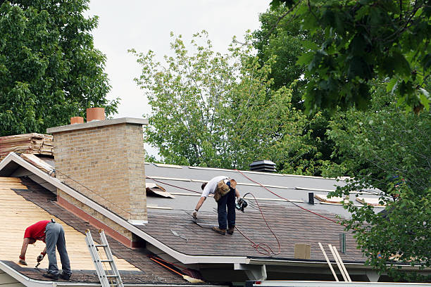 Best Roof Moss and Algae Removal  in Springville, NY